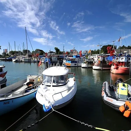 4harbor Times - Nie 13 Eva